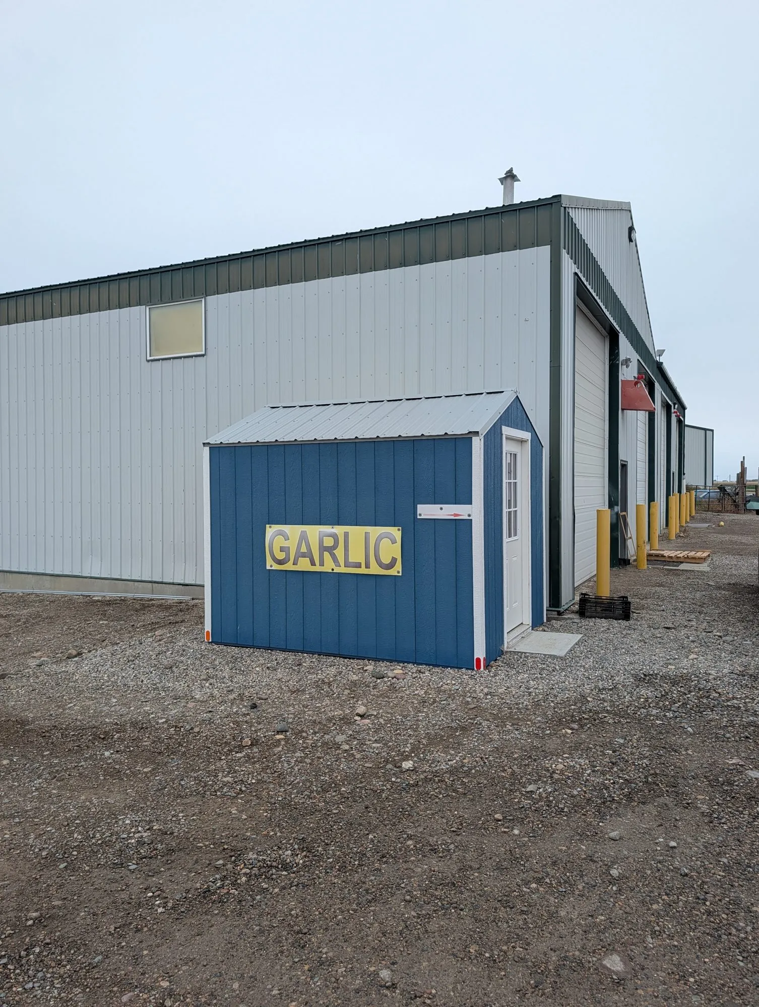 Kipp Garlic self-serve stand: a small blue shed with a yellow GARLIC sign beside a large steel shop building