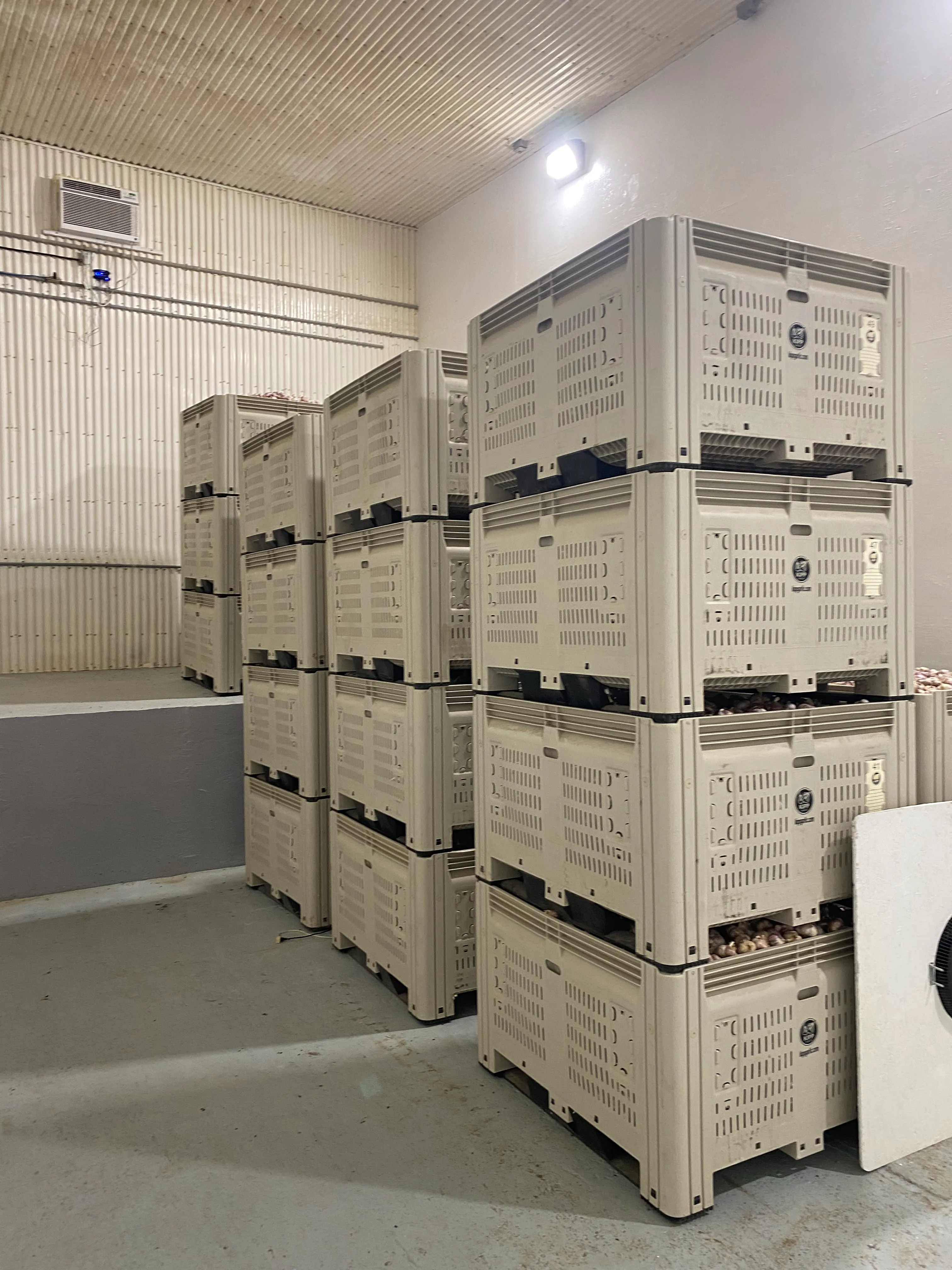Garlic Storage