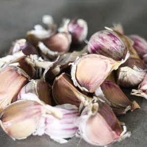 Garlic Seed